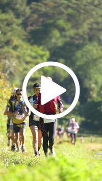 BIB:  <button type="button" onclick="openModal(26576631)" class="btn btn-primary btn-sm float-right" data-toggle="modal" data-target=".modal-high-quality">
                <i class="fa fa-download"></i> Download
                </button>